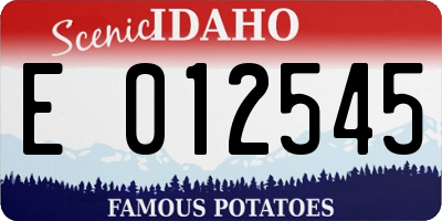 ID license plate E012545