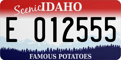 ID license plate E012555