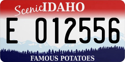 ID license plate E012556