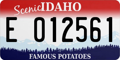 ID license plate E012561