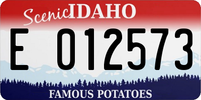 ID license plate E012573