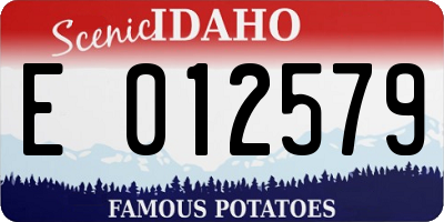 ID license plate E012579