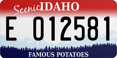 ID license plate E012581