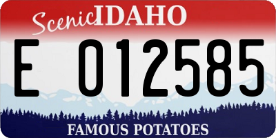 ID license plate E012585