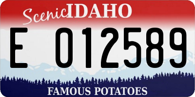 ID license plate E012589