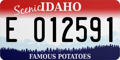 ID license plate E012591