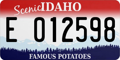 ID license plate E012598