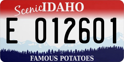 ID license plate E012601