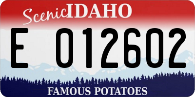 ID license plate E012602