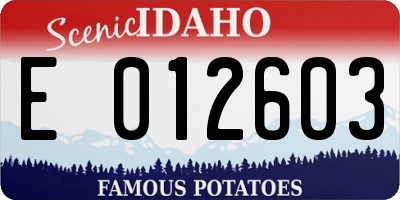 ID license plate E012603