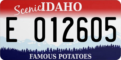 ID license plate E012605