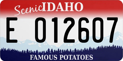 ID license plate E012607