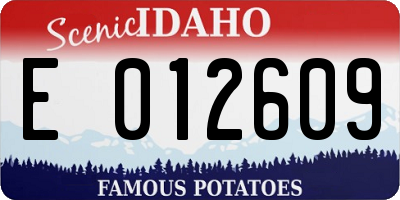 ID license plate E012609