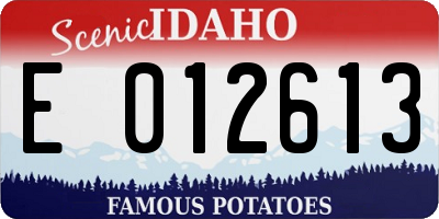 ID license plate E012613