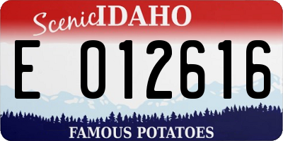 ID license plate E012616