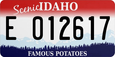 ID license plate E012617