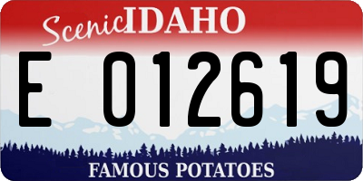 ID license plate E012619