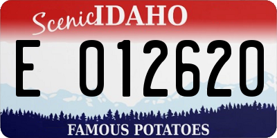 ID license plate E012620