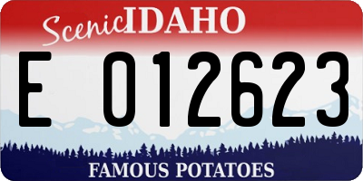 ID license plate E012623