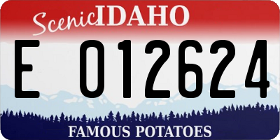ID license plate E012624