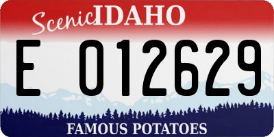 ID license plate E012629