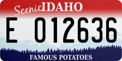 ID license plate E012636