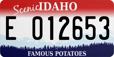 ID license plate E012653