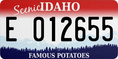 ID license plate E012655