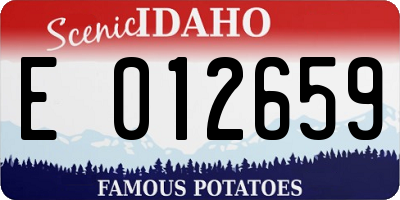 ID license plate E012659