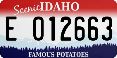 ID license plate E012663