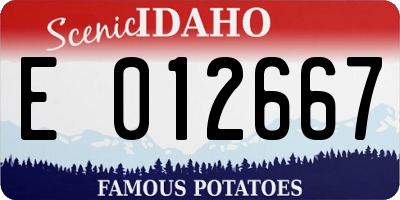 ID license plate E012667