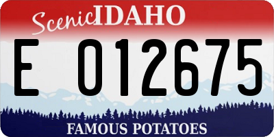 ID license plate E012675