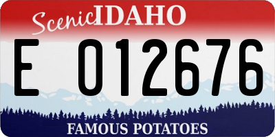 ID license plate E012676