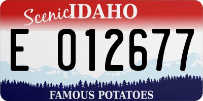 ID license plate E012677