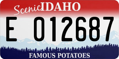 ID license plate E012687