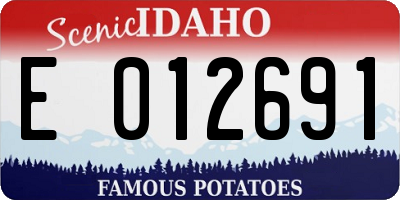 ID license plate E012691