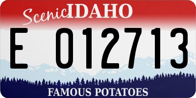 ID license plate E012713