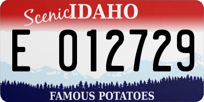 ID license plate E012729