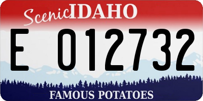 ID license plate E012732