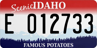 ID license plate E012733