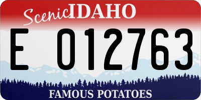 ID license plate E012763