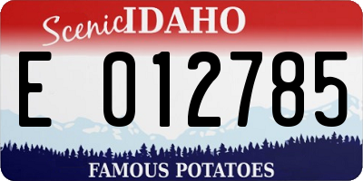 ID license plate E012785