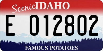 ID license plate E012802