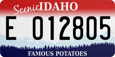ID license plate E012805