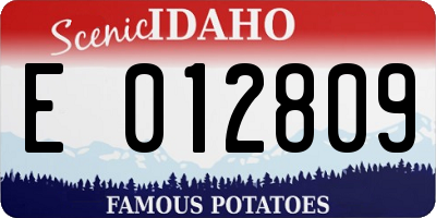 ID license plate E012809