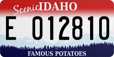 ID license plate E012810