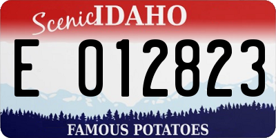 ID license plate E012823