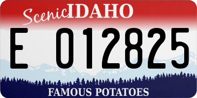 ID license plate E012825