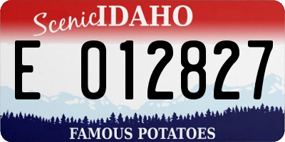 ID license plate E012827