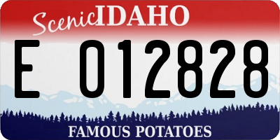 ID license plate E012828